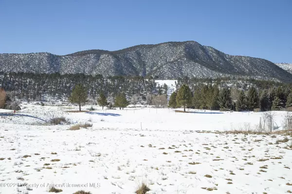 Carbondale, CO 81623,563 E Diamond A Ranch Road