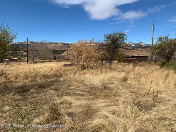 TBD Highway 330, Collbran, CO 81624