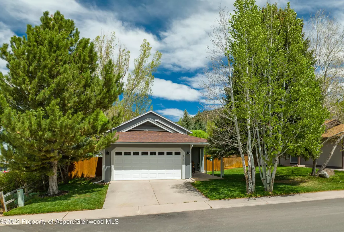 New Castle, CO 81647,239 Buckthorn Road