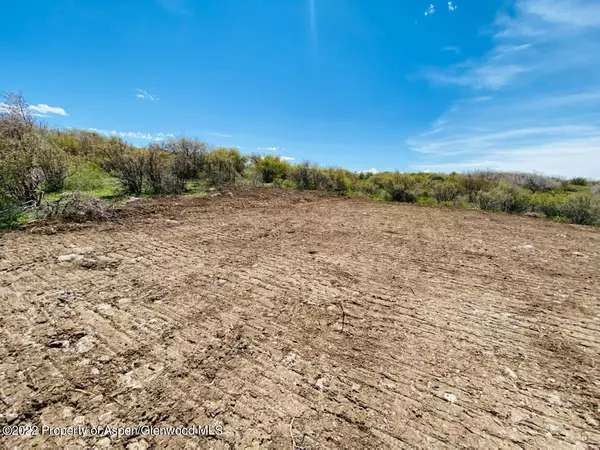 Craig, CO 81625,TBD Fiddleneck Drive