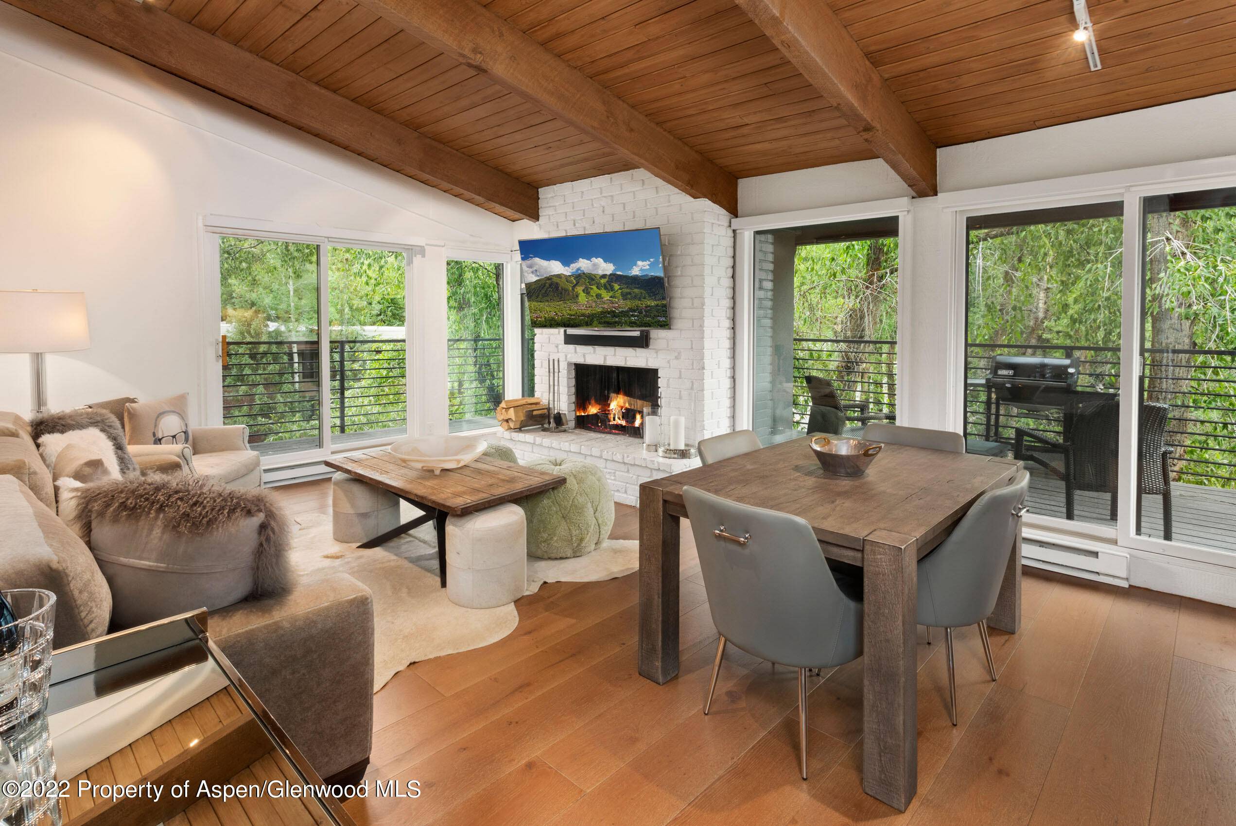 1039 E Cooper Avenue 4A,  Aspen,  CO 81611