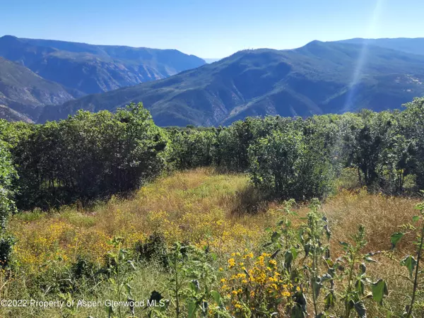 Glenwood Springs, CO 81601,4300 Bear Paw Lane