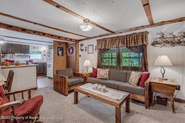 Glenwood Springs, CO 81601,250 127 County Road 16