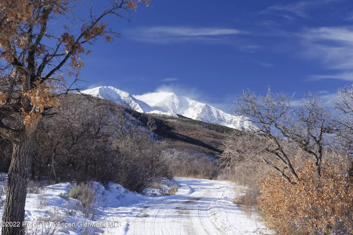 Basalt, CO 81621,2651 Bear Ridge Road