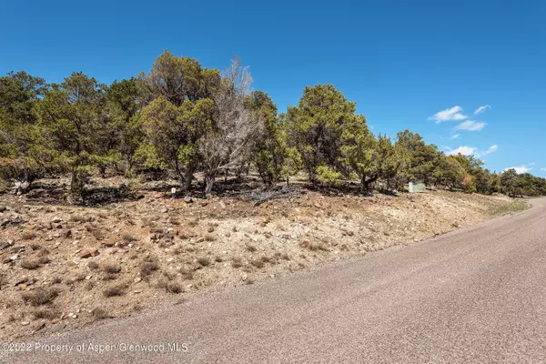 Carbondale, CO 81623,TBD Wooden Deer Road