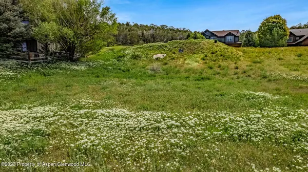 New Castle, CO 81647,347 Faas Ranch Road