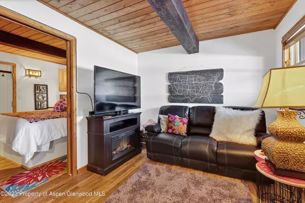 Glenwood Springs, CO 81601,11101 County Road 117 2-C