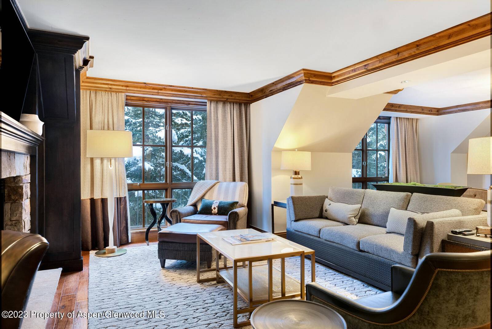 315 E Dean Street B65 Weeks 3, 4, 34, 49, Aspen, CO 81611