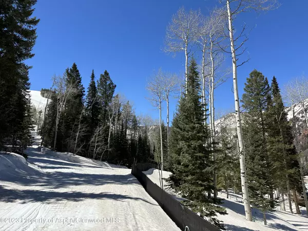 360 Thunderbowl Lane, Aspen, CO 81611