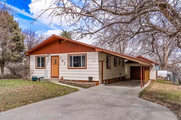 767 Green Street, Craig, CO 81625