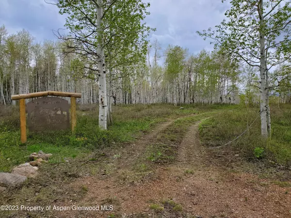 2213 Grackle Road, Craig, CO 81625