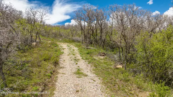 Glenwood Springs, CO 81601,4300 Bear Wallow Lane