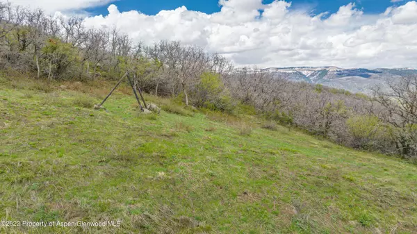 Glenwood Springs, CO 81601,4300 Bear Wallow Lane