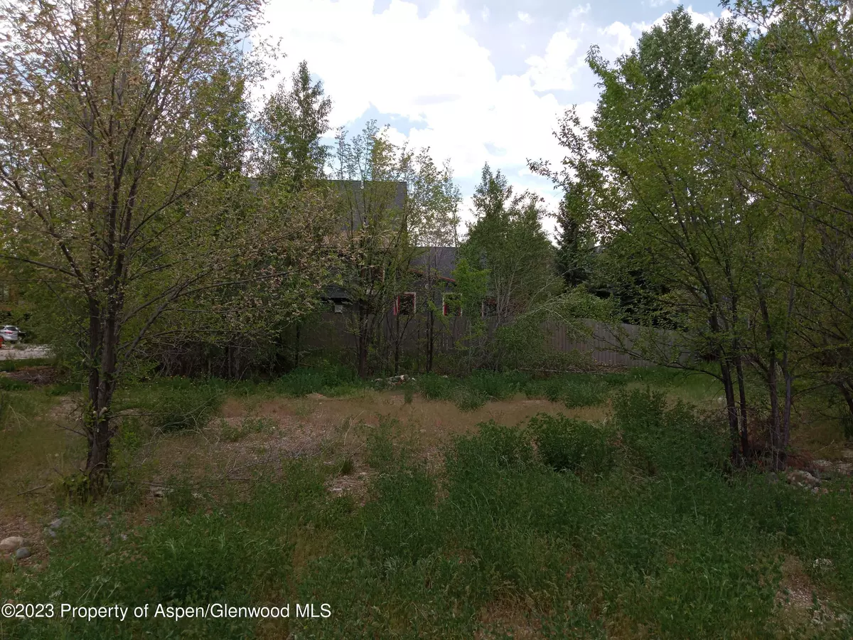 Basalt, CO 81621,0339 Sopris Circle