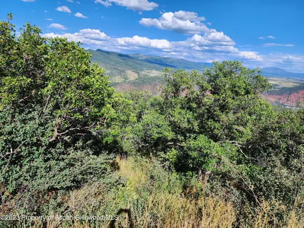 Glenwood Springs, CO 81601,4700 Bear Wallow Lane