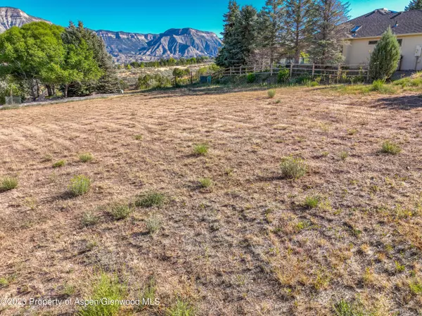 Parachute, CO 81635,243 Lodgepole Circle