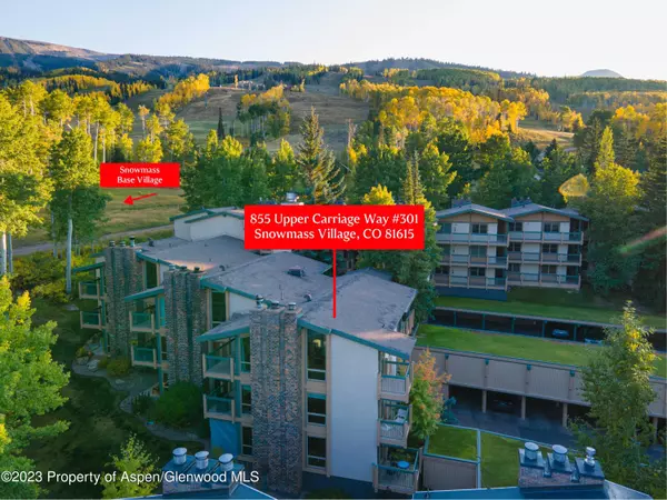 Snowmass Village, CO 81615,855 CARRIAGE Way 301