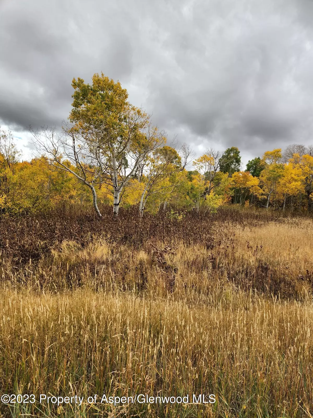 Craig, CO 81625,3510 Grackle Road