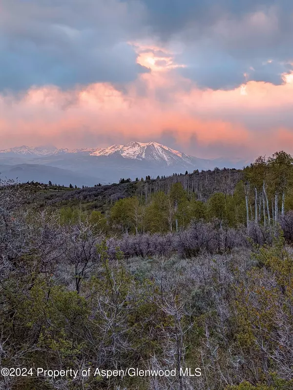 Homestead Lot 17 Road, Glenwood Springs, CO 81601