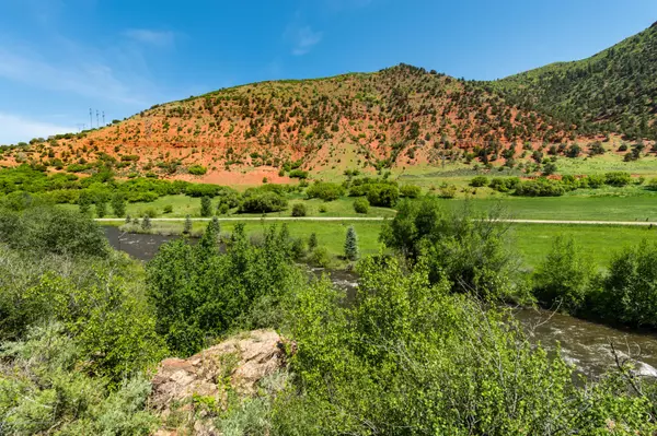 Basalt, CO 81621,54 Spruce Road