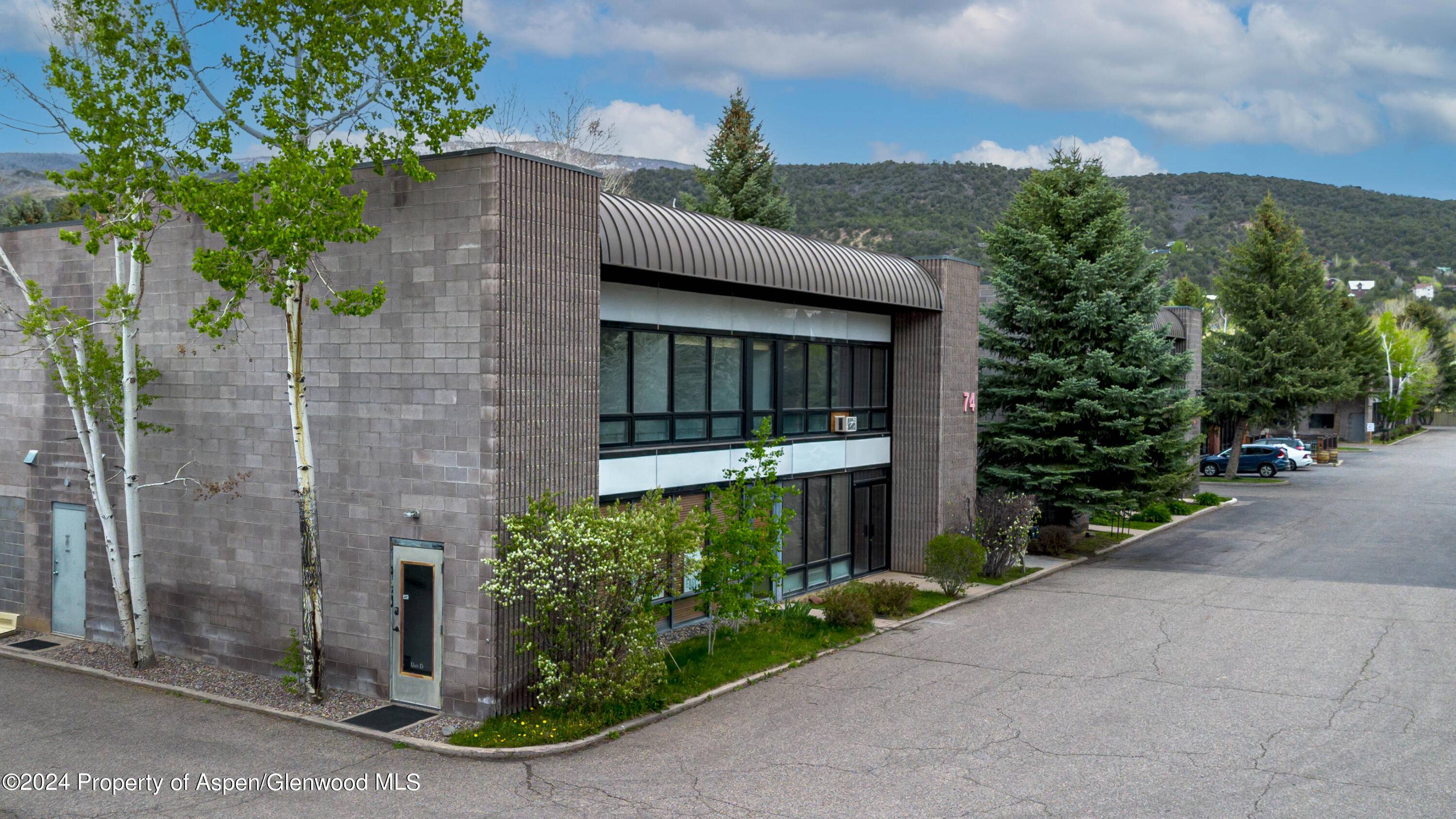 74 Sunset Drive D, Basalt, CO 81621