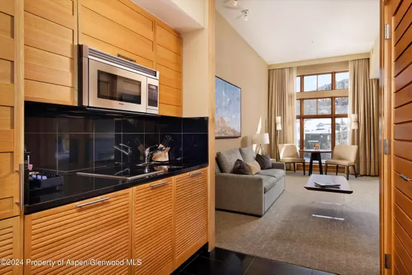 Snowmass Village, CO 81615,130 Wood Road Unit 438