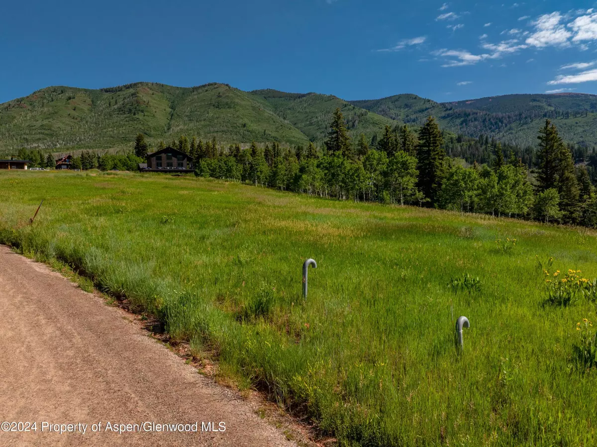 Basalt, CO 81621,1239 McLaughlin Lane