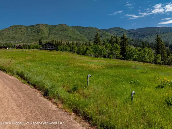 1239 McLaughlin Lane, Basalt, CO 81621