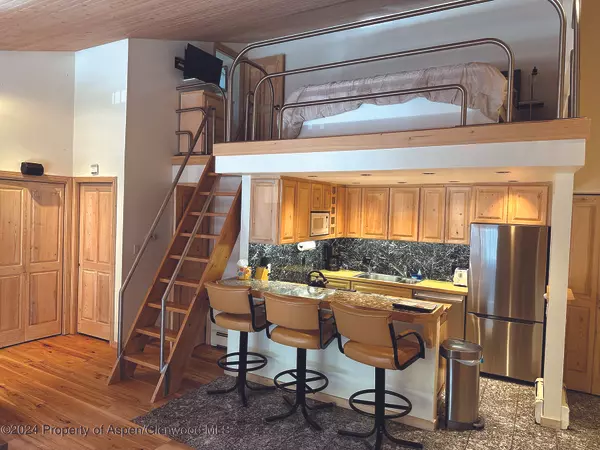 Aspen, CO 81611,935 E Hopkins #12