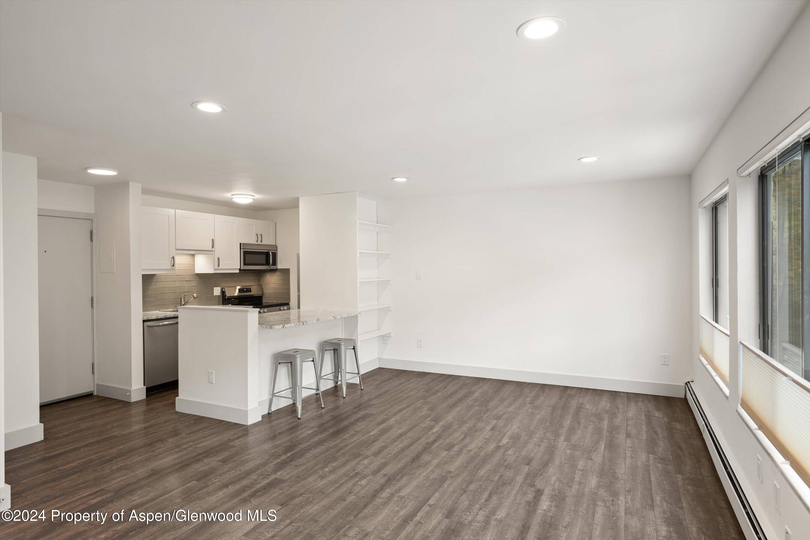 725 E Main Street #209, Aspen, CO 81611