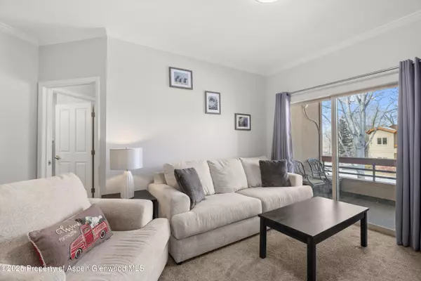 1400 E Valley Road #215, Basalt, CO 81621
