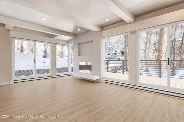 1039 E Cooper Avenue 1A,  Aspen,  CO 81611