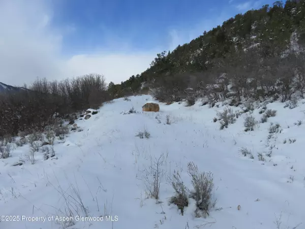 Glenwood Springs, CO 81601,TBD 117 County Road