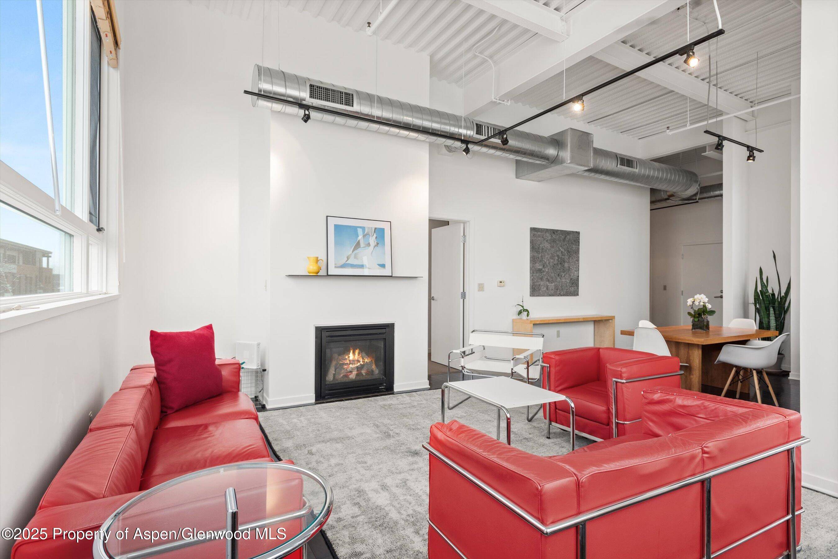 Basalt, CO 81621,361 Robinson Street 238