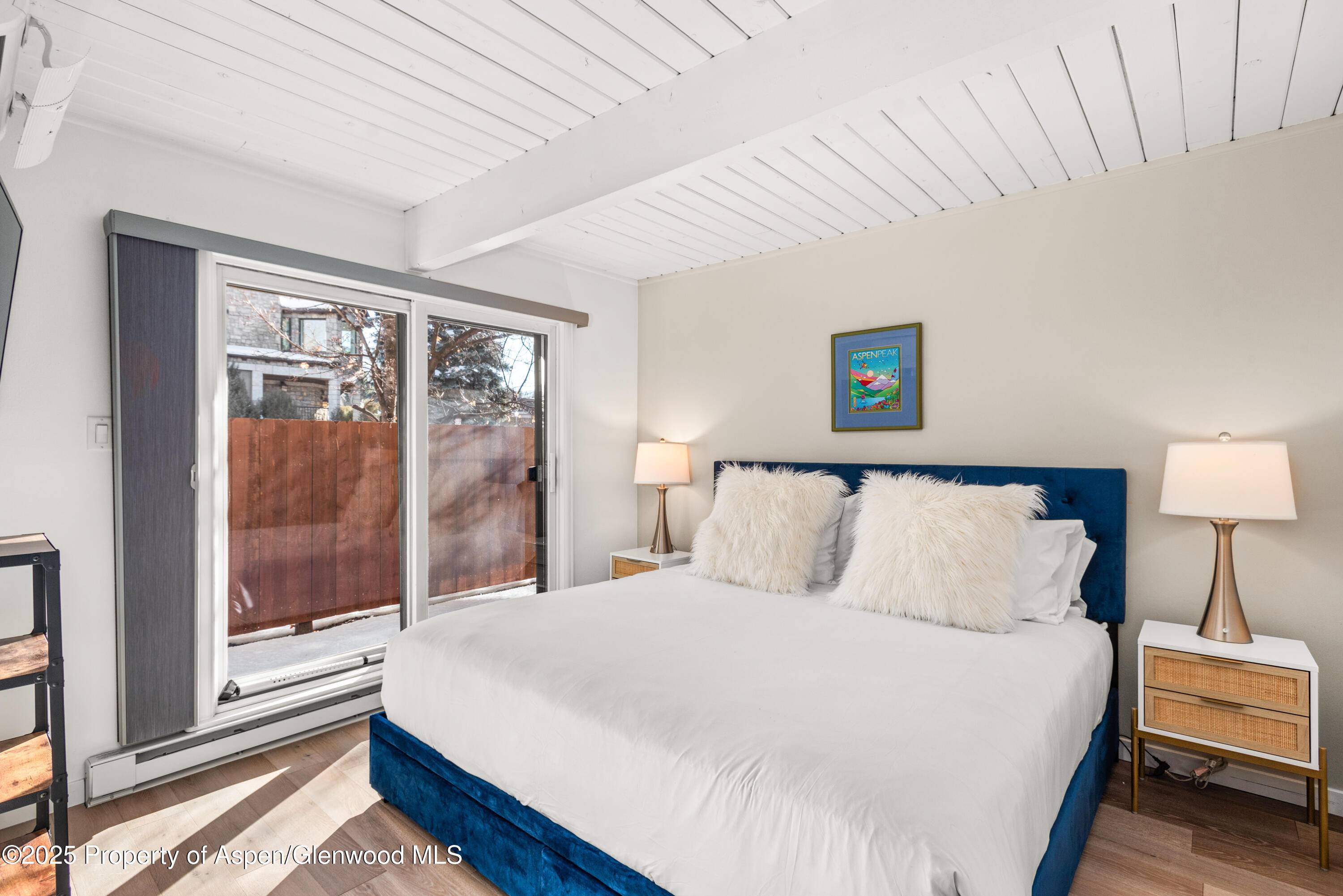 Aspen, CO 81611,630 E Cooper Avenue 4