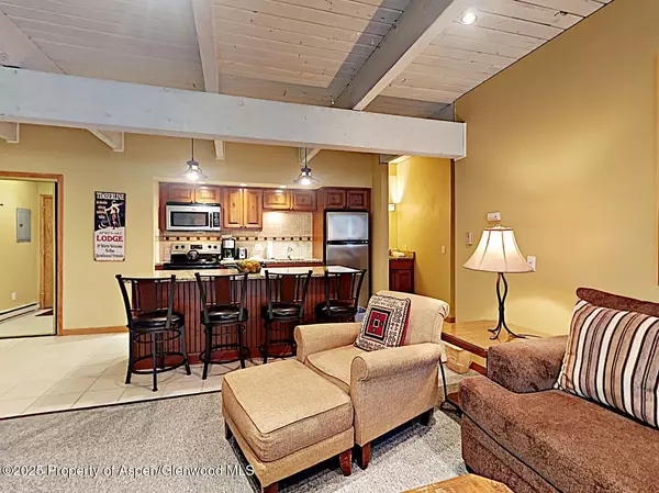 Snowmass Village, CO 81615,690 Carriage Way Unit B2G