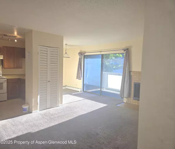 Glenwood Springs, CO 81601,1527 Blake Avenue 211