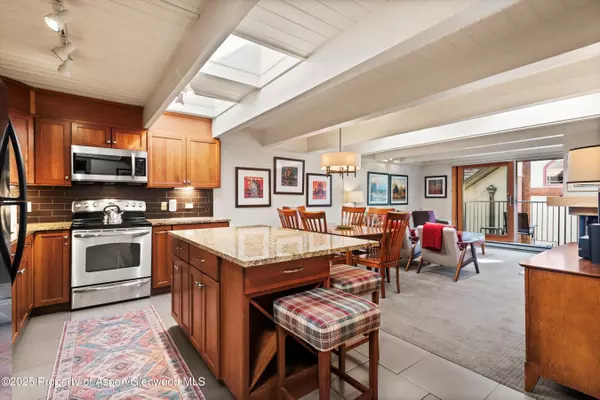 Aspen, CO 81611,901 E Hyman Avenue 13