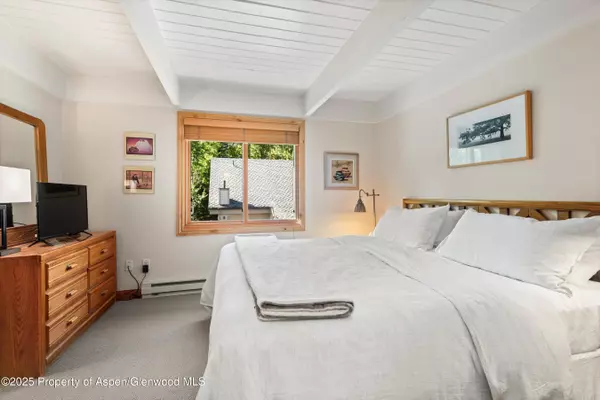 Aspen, CO 81611,901 E Hyman Avenue 13