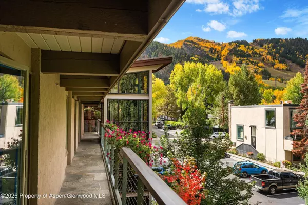 Aspen, CO 81611,1034 E COOPER Avenue 19A
