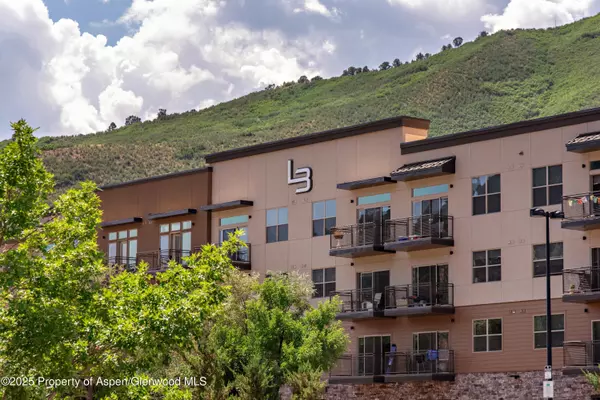 Glenwood Springs, CO 81601,253 Wulfsohn Road 201