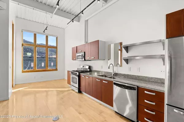 Basalt, CO 81621,231 Robinson Street 226