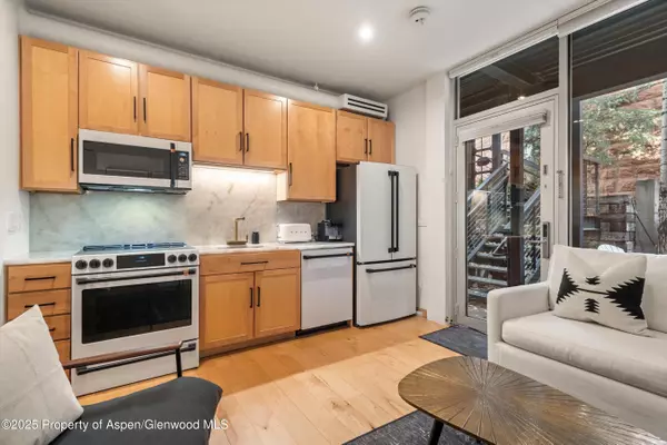 Aspen, CO 81611,434 E Main Street 102