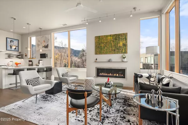 Basalt, CO 81621,103 Willits Way 204