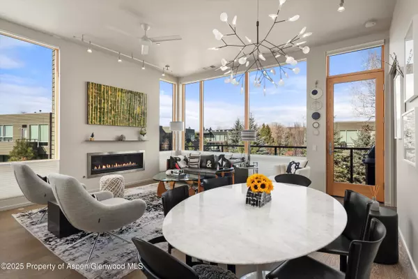 Basalt, CO 81621,103 Willits Way 204