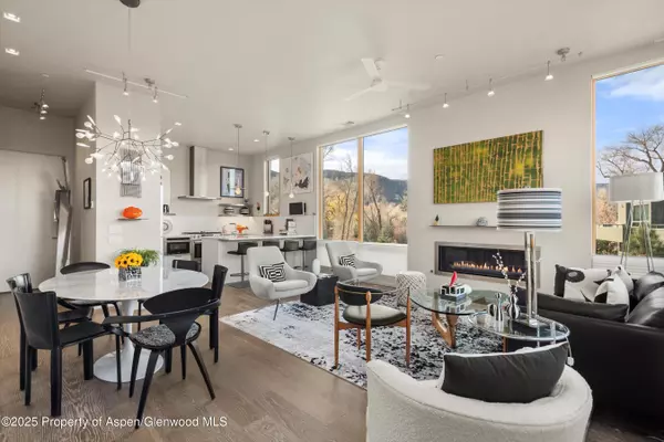 Basalt, CO 81621,103 Willits Way 204