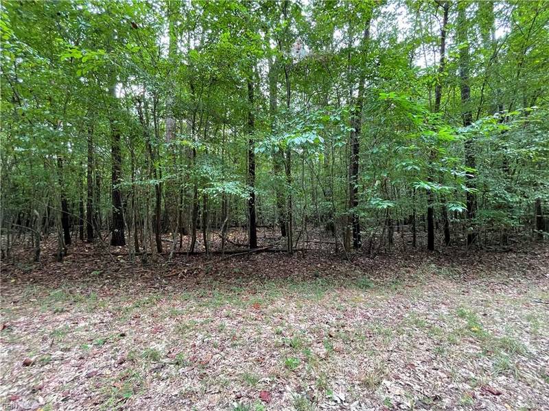 00 Beech Creek 10.88Ac RD, Gloucester, VA 23061