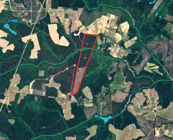 70 Acres Hilltop LN,  Skippers,  VA 23879