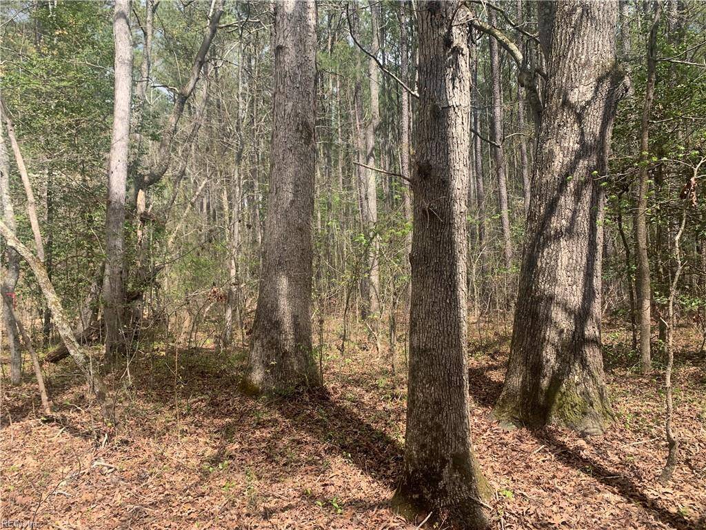 Franklin, VA 23851,11+ac Riverdale DR