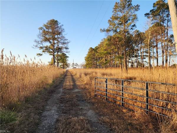 116 Mistletoe LN, Shiloh, NC 27974